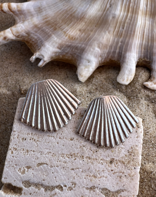 עגיל צדף גדול צמוד