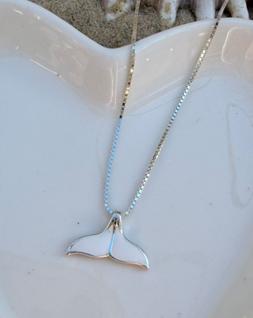 שרשרת סנפיר לבן