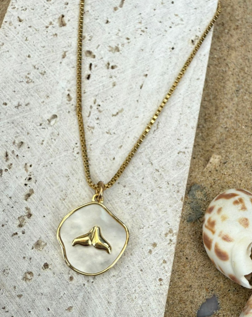 שרשרת סנפיר אם הפנינה