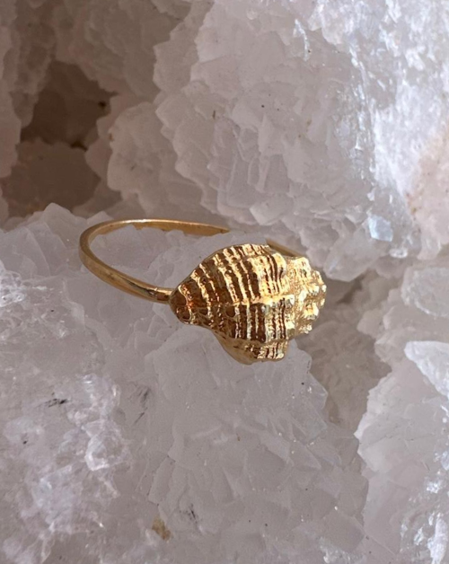 טבעת כונכייה עדין