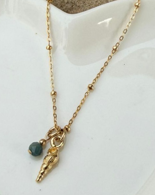 שרשרת קונכייה קטן